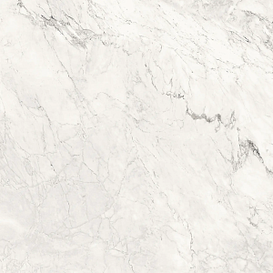 Керамогранит Lafaenza Ceramica Aesthetica AE CAL6 120 RM 120x120 фото