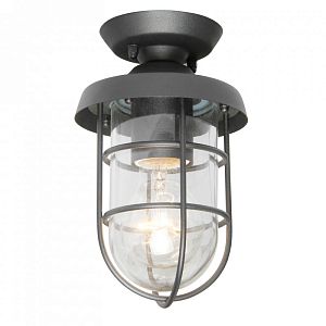 Накладной уличный светильник Favourite 3021-1P фото