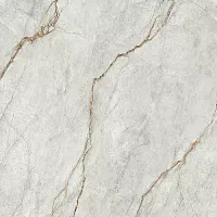 Керамогранит Imola The Room GreRo6120Lp 120х120 фото