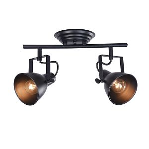 Спот Freya FR4276-CW-02-B фото