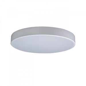 Накладной светильник LOFT IT 10002/24 White фото
