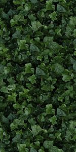 Керамогранит 41ZERO42 Paper41 Pro 4100155 Jane E 50х100 фото