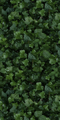 Керамогранит 41ZERO42 Paper41 Pro 4100155 Jane E 50х100