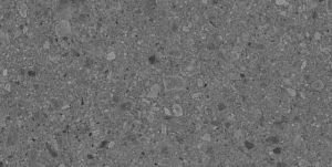 Керамогранит Argenta Flodsten 8435592032931 Winter Matt 60x120 CB UNGL фото