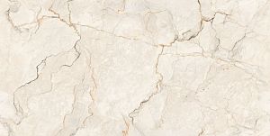 Керамогранит Ocean Ceramic India Infinity Bottochino Lamos 60х120 фото