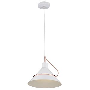 Подвесной светильник Freya FR5025PL-01W фото