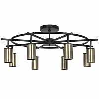 Люстра на штанге Lightstar LR718318 фото