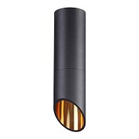 Влагозащищенный светильник Odeon Light 4209/1C фото