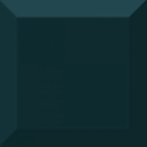 Плитка Biselado Brillo Atlantis 10x10 фото