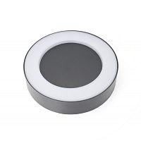 Светильник настенный Favourite 2865-1W фото