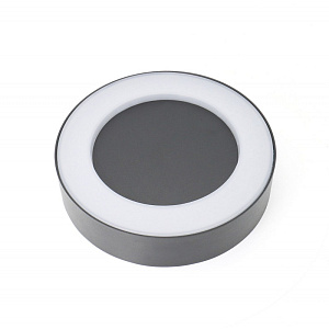 Светильник настенный Favourite 2865-1W фото