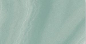 Керамогранит Absolute Pulido Jungle 49.1x98.2 фото