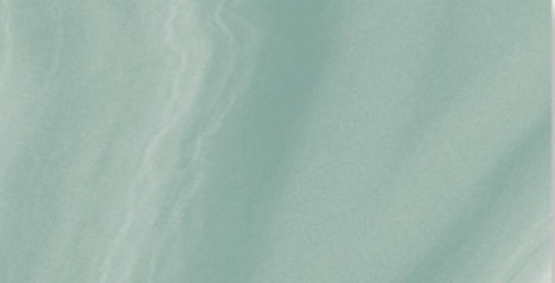 Керамогранит Absolute Pulido Jungle 49.1x98.2