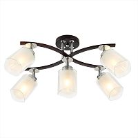 Люстра на штанге Citilux CL156152 фото