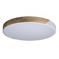 Накладной светильник LOFT IT 10004/36 White фото