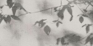 Керамогранит ABK PF60010089 Wide & Style Shadow Nat R 120х280 фото