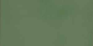 Керамогранит Casalgrande Padana R-Evolution Green 36SC R10 60x120 фото