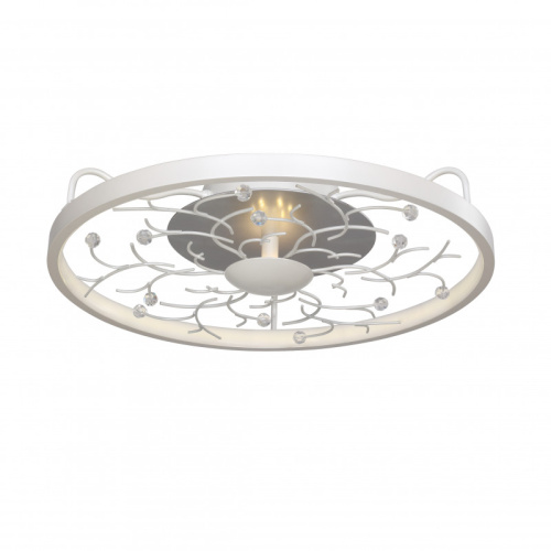 Накладной светильник Favourite 2533-4C