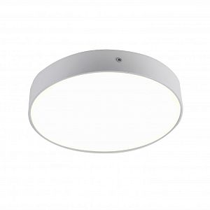 Накладной светильник Favourite 2065-30C фото