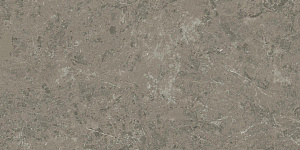 Керамогранит Atlas Concorde AJIU Marvel Meraviglia Grigio Elegante 60х120 фото