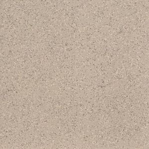 Керамогранит Imola Ceramica Parade PRDE 60B RM 60x60 фото