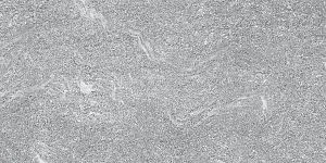 Керамогранит Caesar Shapes Of Italy Sestriere Rt 60x120 фото