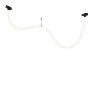 Светильник на шине Maytoni Technical TR101-2-50W4K-B фото