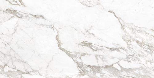 QUA Granite Creme Blanc 120x60 белый полированная фото 2