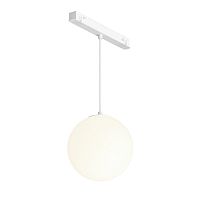 Светильник на шине Maytoni Technical TR039-2-5W4K-W фото