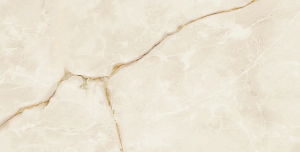 Керамогранит 610015000633 Symphonyx Gold Lapp 80x160 фото