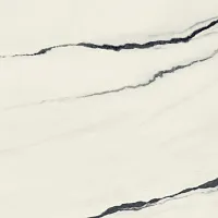 Керамогранит 610010002717 Forte dei Marmi Panda White Rett 80x80 фото