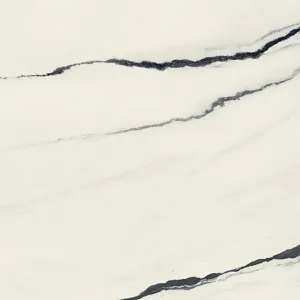 Керамогранит 610010002717 Forte dei Marmi Panda White Rett 80x80 фото