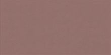 Плитка ABK Wide&Style Mini PF60008237 Paprika Ret 60x120 фото