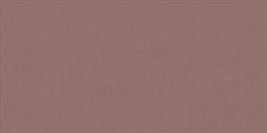 Плитка ABK Wide&Style Mini PF60008237 Paprika Ret 60x120 фото