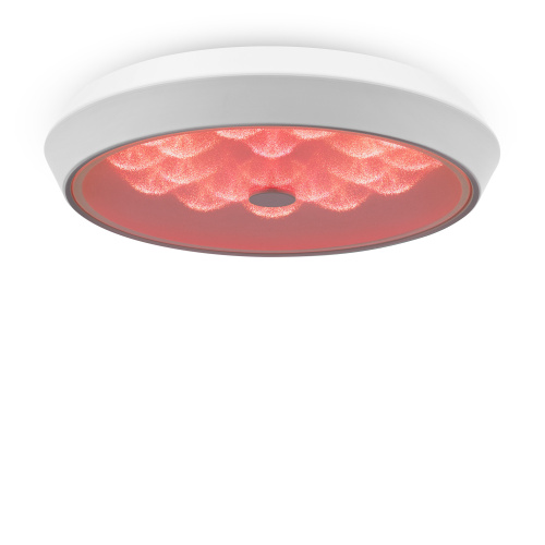 Потолочный светильник Freya FR10012CL-L24W фото 2