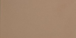 Керамогранит Casalgrande Padana R-Evolution Terra 36SC R10 60x120 фото