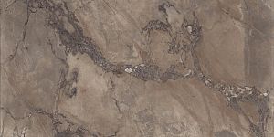 Керамогранит Ariana PF60004405 Epoque Brown Ret 60х120 фото