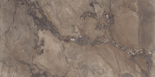 Керамогранит Ariana PF60004405 Epoque Brown Ret 60х120