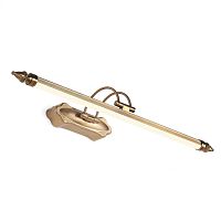 Светильник для картин Favourite 2438-2W фото