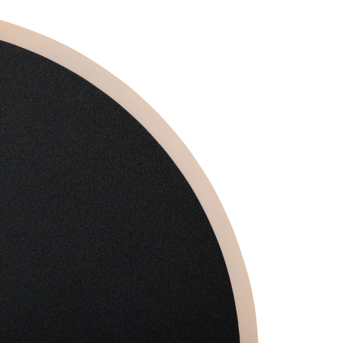 Настенный светильник (бра) Freya FR6002WL-L13B фото 6