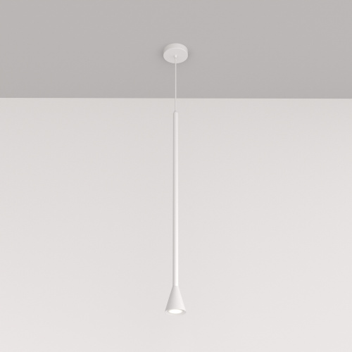 Подвесной светильник Maytoni Technical P064PL-01W