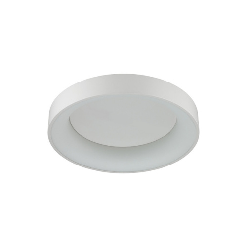 Накладной светильник Odeon Light 4066/40CL