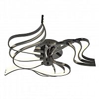 Накладная люстра Favourite 2543-9U фото