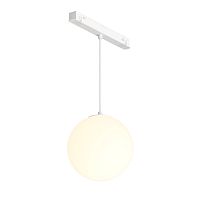 Светильник на шине Maytoni Technical TR039-2-5W3K-W фото