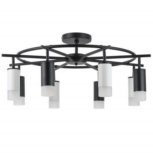 Люстра на штанге Lightstar LR7183743641