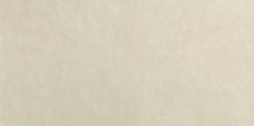 Керамогранит FAP Ceramiche Bloom fRFG Beige 80х160