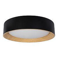 Накладной светильник LOFT IT 10202 Black фото