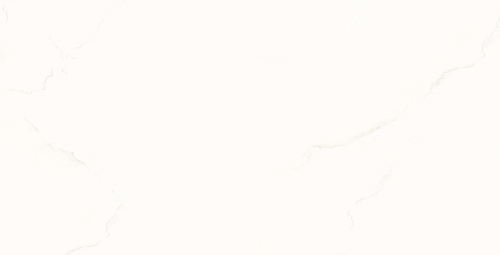 Керамогранит Ocean Ceramic India Onyx White 60х120