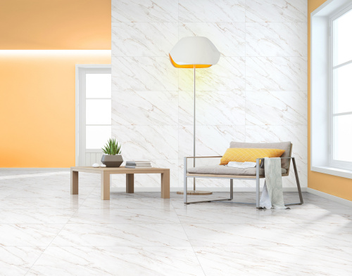 QUA Granite Mellow Gold 120x60 белый полированная фото 7