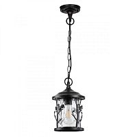 Подвесной уличный светильник Odeon Light 4963/1 фото